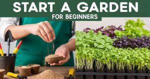 Beginner’s Guide to Starting a Garden with Cocopeat Powder