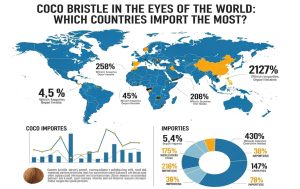 Coco Bristle Import Countries