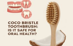 Coco Bristle Toothbrush Is It Safe for Oral Health
