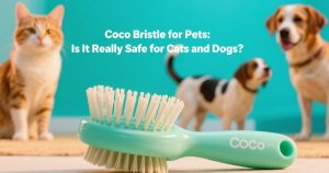 Coco Bristle for Pets