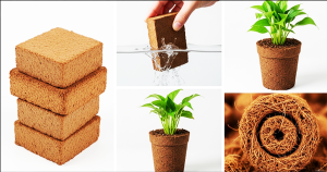 Coco peat water retention