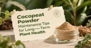 Cocopeat Powder Maintenance Tips for Long-Term Plant Health