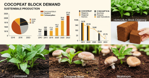 Global demand for cocopeat blocks