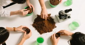 Startup Spotlight Innovators Turning to Cocopeat Powder Solutions