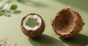 The Eco Boom Behind the Humble Coconut Husk