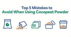 Top 5 Mistakes to Avoid When Using Cocopeat Powder