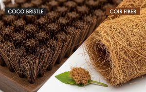 What’s the Difference Between Coco Bristle and Coir Fiber Don’t Get Them Mixed Up!