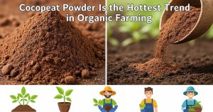 Why Cocopeat Powder Is the Hottest Trend in Organic Farming