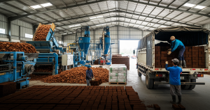 cocopeat industry challenges and opportunities